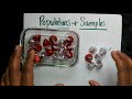 Exploring Populations and Samples in Statistics