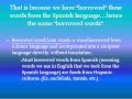 Exploring Spanish Cognates and Borrowed Words