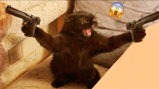 Funniest Videos 2023 😂 Best Cats and Dogs Videos 😹🐶 Part 02