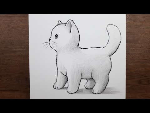 Kolay kedi resmi nasıl çizilir - Yeni başlayanlar için adım adım öğretici çizim