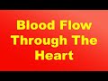 Understanding Blood Flow Through the Heart