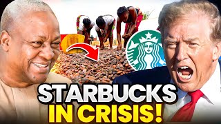 Shocking! Ghana STOPS Raw Cocoa Exports to Europe and America