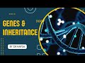 X-Linked and Autosomal Inheritance Concepts