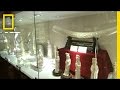 Ivory Trade and Its Implications