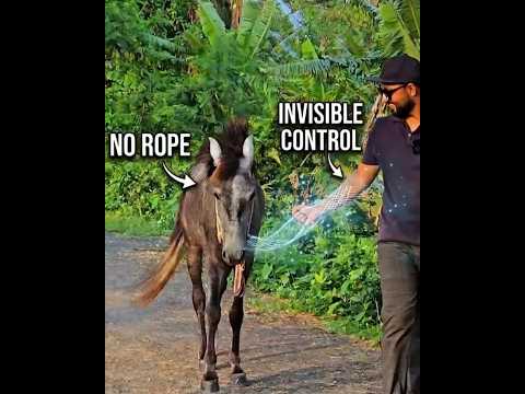 The psychology of Horse 😱 #trickstogo #science #experiment
