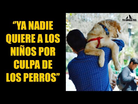 Hombre hace escándalo porque no le ceden el asiento de un perro de servicio | Tu Amigo Fiel