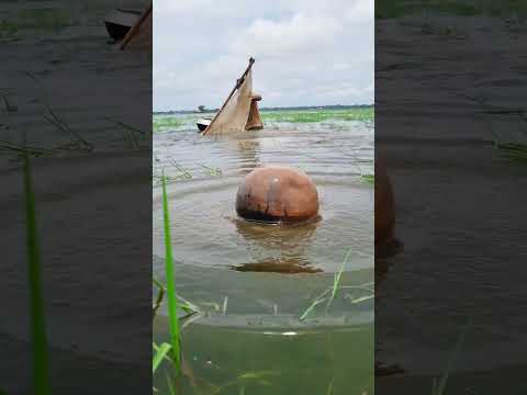 পানির মাঝে কি