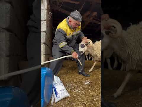 Tuz ve su neden acaba ❓🤣