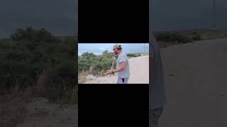 Retirando una gran culebra en san blas Alicante