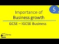 Business Competition and Growth Strategies