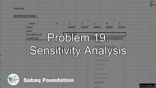 Problem 19: Sensitivity Analysis