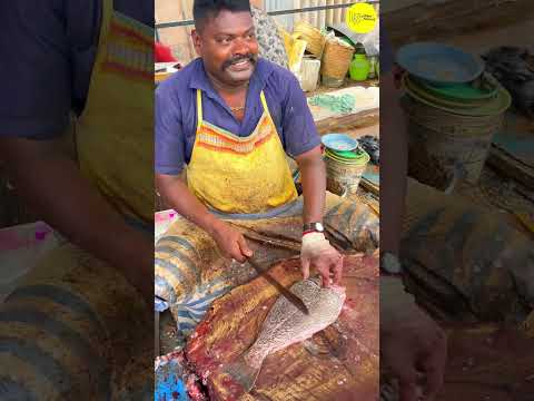 ⬆️KASIMEDU SPEED SELVAM SOLE FISH CUTTING VIDEO #kasimeduselvam #bigfish #shorts #youtube