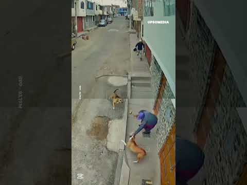 حماية الله 🤍 الحمد لله 🤲