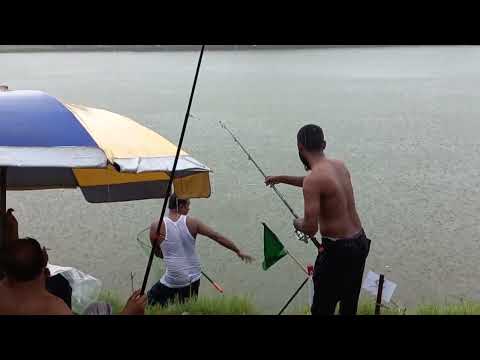 big catla fish hunting in lovely rain time