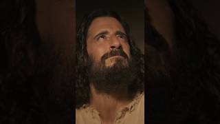 "Little lamb. Arise." 3/3