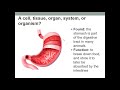 Biological Organization and Functions