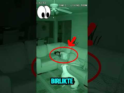 Köpek Havlamaya Başladı… Kadın Bir Anda YÜKSELDİ ŞOK😱