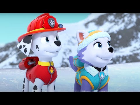 PAW Patrol - Polar Bears Rescue | WildBrain Toons | Cartoons for Kids