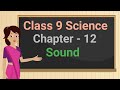 Human Ear Function and Anatomy
