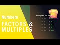 Understanding Factors and Multiples