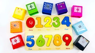 BEST Counting Shapes Toy Video! Numbers & Colors Educational Toy Learning Activity #preschool