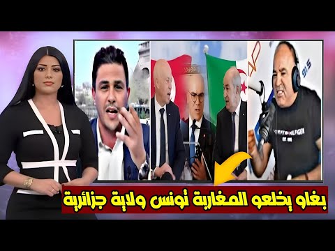 تونسي فضح ألاعيب الجزائر بغيتو تخلعو المغرب بالقوة الإقليمية  راس مالكم كلام فارغ