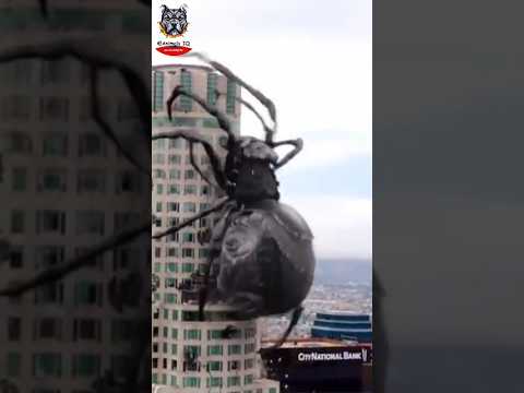 Amazing animal transformation 💀☠️👹❤️🥰 #shorts #like #babyanimals #animalstransformation #subscribe