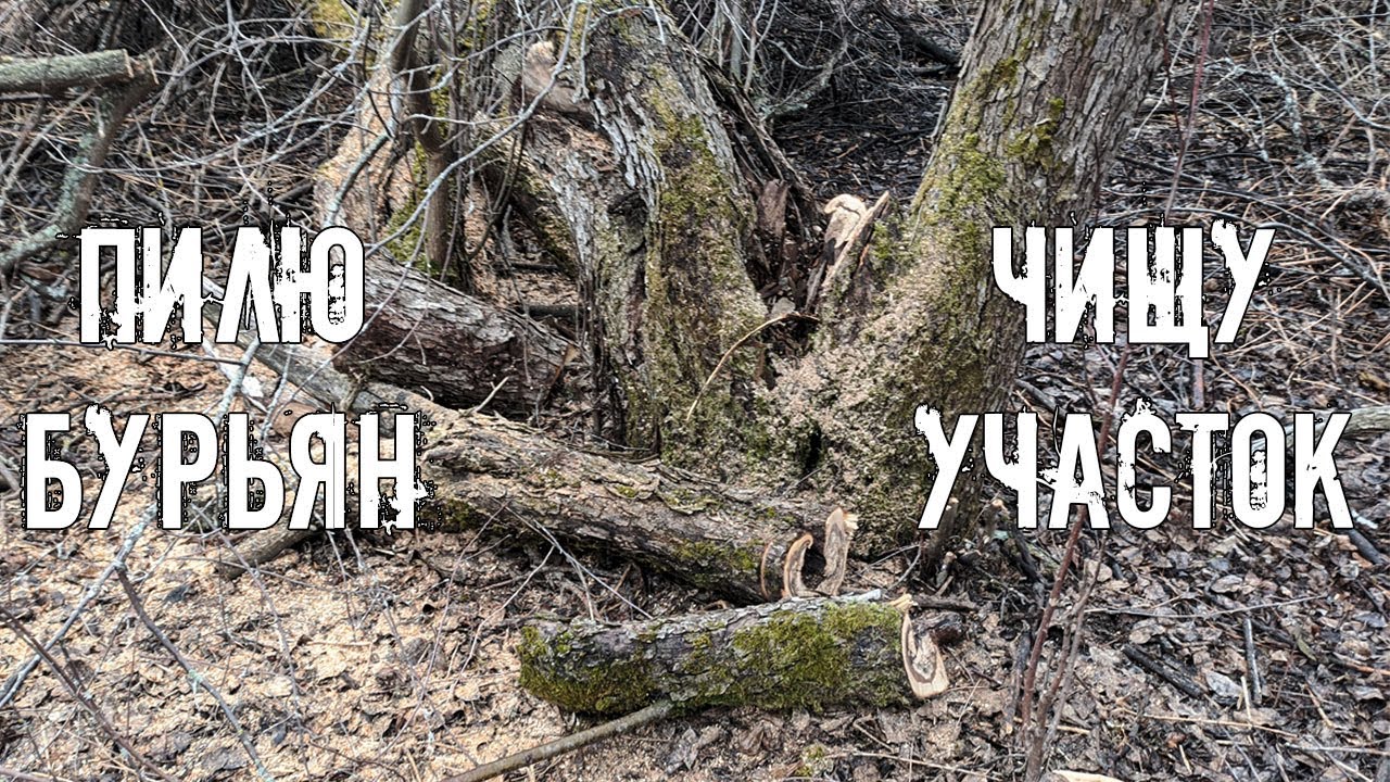 Пилю бурьян вокруг дома прадеда. Сезон работ в деревне открыт!