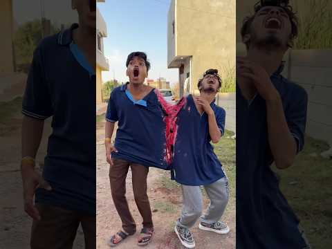 This is the world of twins.๐ฑ | #shortvideo #viral #trending #shorts #shortsfeed #amazingfacts #facts