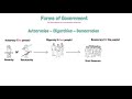 Forms of Government and Economic Systems