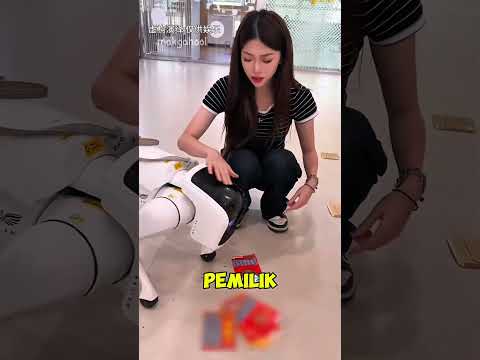 Milo ketemu lagi sama robot anjing #shorts