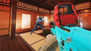 What 10000 Hours of Siege X Looks Like...
