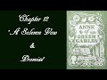 Friendship and Relationships in Anne of Green Gables