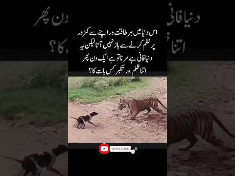 #islam #shorts #ytshorts #quotes #youtubeshorts #sad #stories
