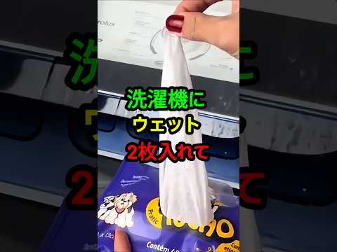 洗濯機にウェットティッシュを2枚入れてください!