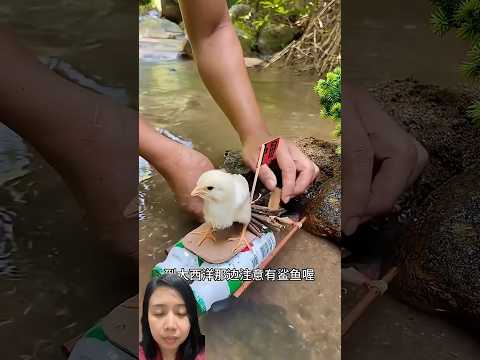 Bebek kecil sudah kusiapkan kapal untuk jualan cussss #shortvideos #shortfunny