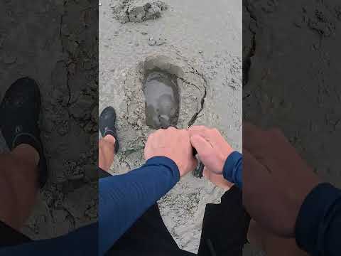 Perigoso demais ๐จ