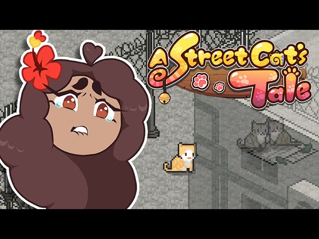 Teaching the LOST KITTENS Survival Skills?! ? A Street Cat's Tale • #4