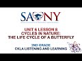 Butterfly Life Cycle and Facts