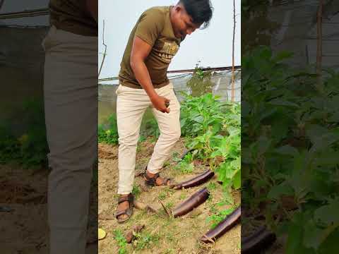 #reels #funny #viralvideo #shortvideo #comedy