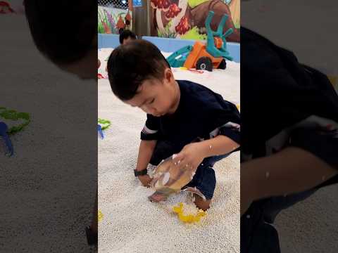 Kaif nemu simpansini #shortvideo #shorts #ytshorts #funny