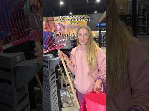 POV: that equestrian that only owns geldings buys a mare #horse #horsegirl #equestrian #newpony