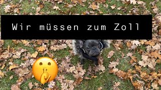 EIN TAG BEI MALI #VLOGMAS14 | MaLena