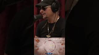 Joe Rogan and Kid Rock on the Bud Light controversy