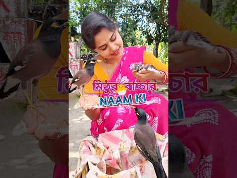 Mithur 🐦 Bachar 🐣 Naam Ki | মিঠুর 🐦 বাচ্চার 🐣 নাম কি | Mini Vlog | #shorts #minivlog #vlog