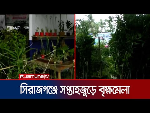 সিরাজগঞ্জের সপ্তাহজুড়ে  বৃক্ষমেলায় ভিড় জমাচ্ছে বৃক্ষপ্রেমীরা |  Sirajganj | Tree | Jamuna TV