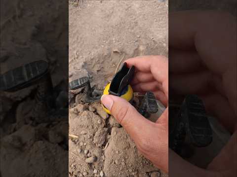 No sabía que este Brainrot abeja que encontré en la Alberca era tan valioso #piscinas #brainrot