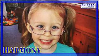 Harmony's Case Update: What deal was struck behind closed doors?