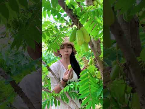 Enjoy beautiful nature with rural life # 586 #fruit #cooking #garden