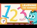 Writing and Recognizing Numbers